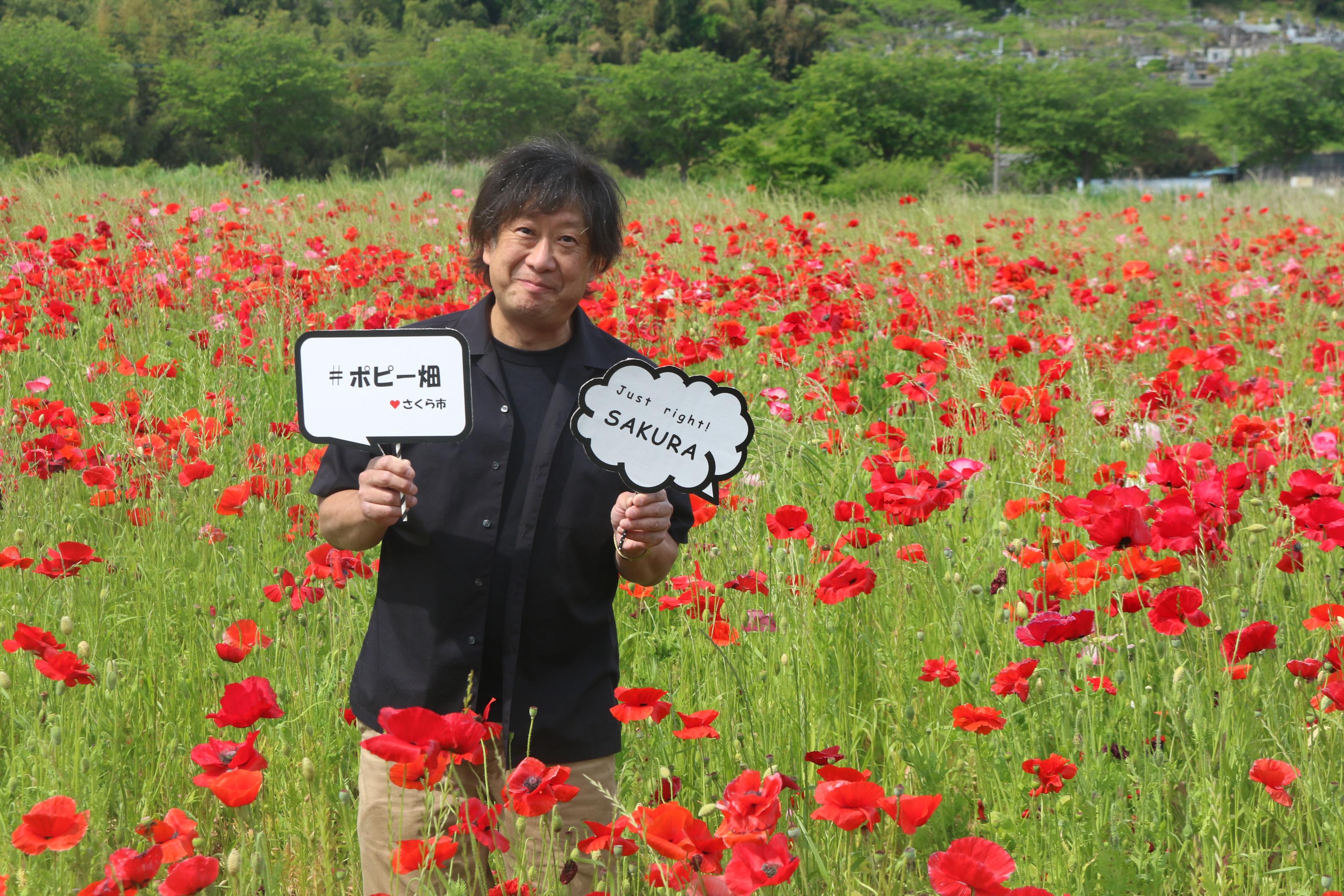 ポピー畑と男性の写真3