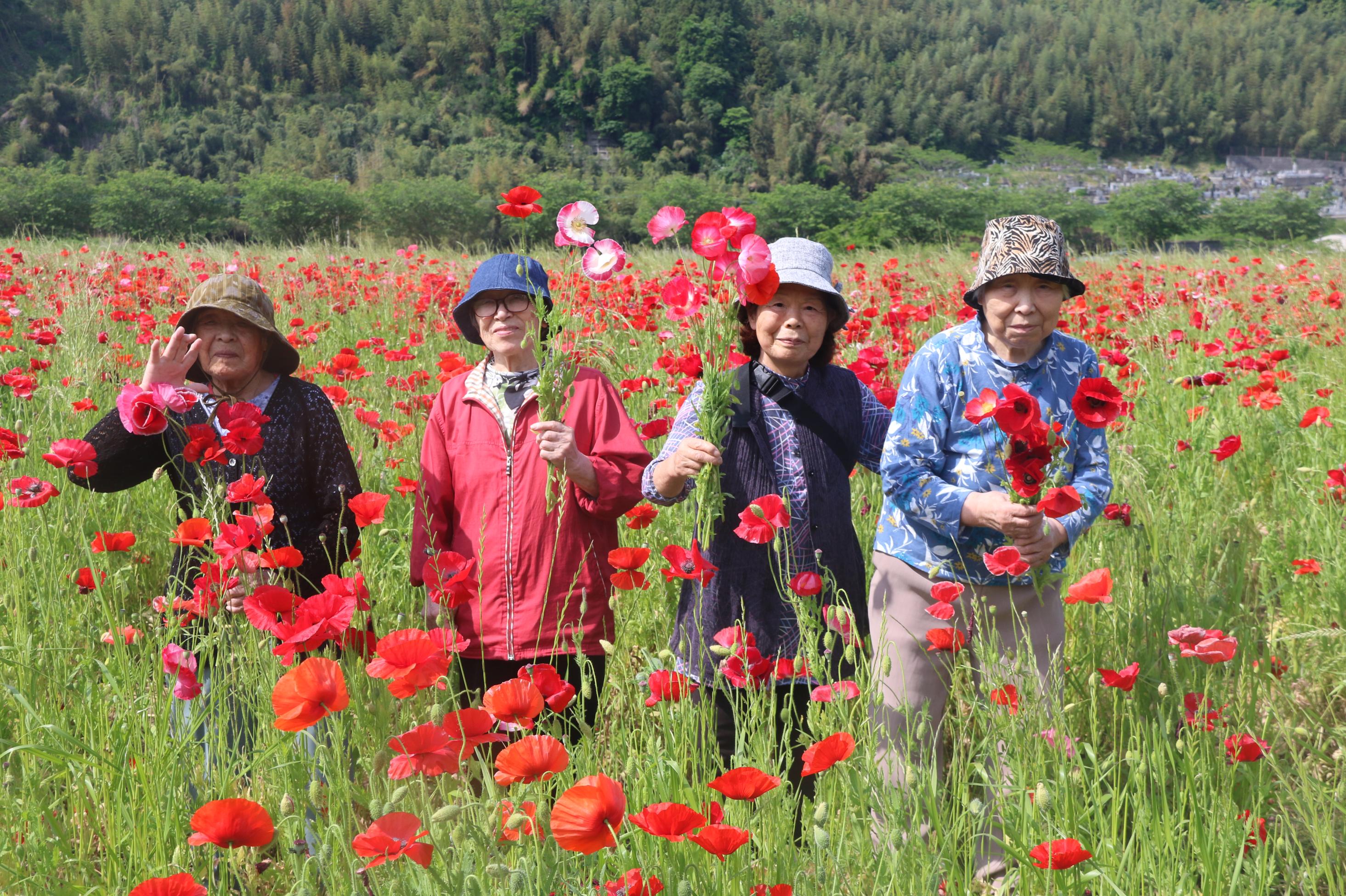 ポピー畑と集合写真3