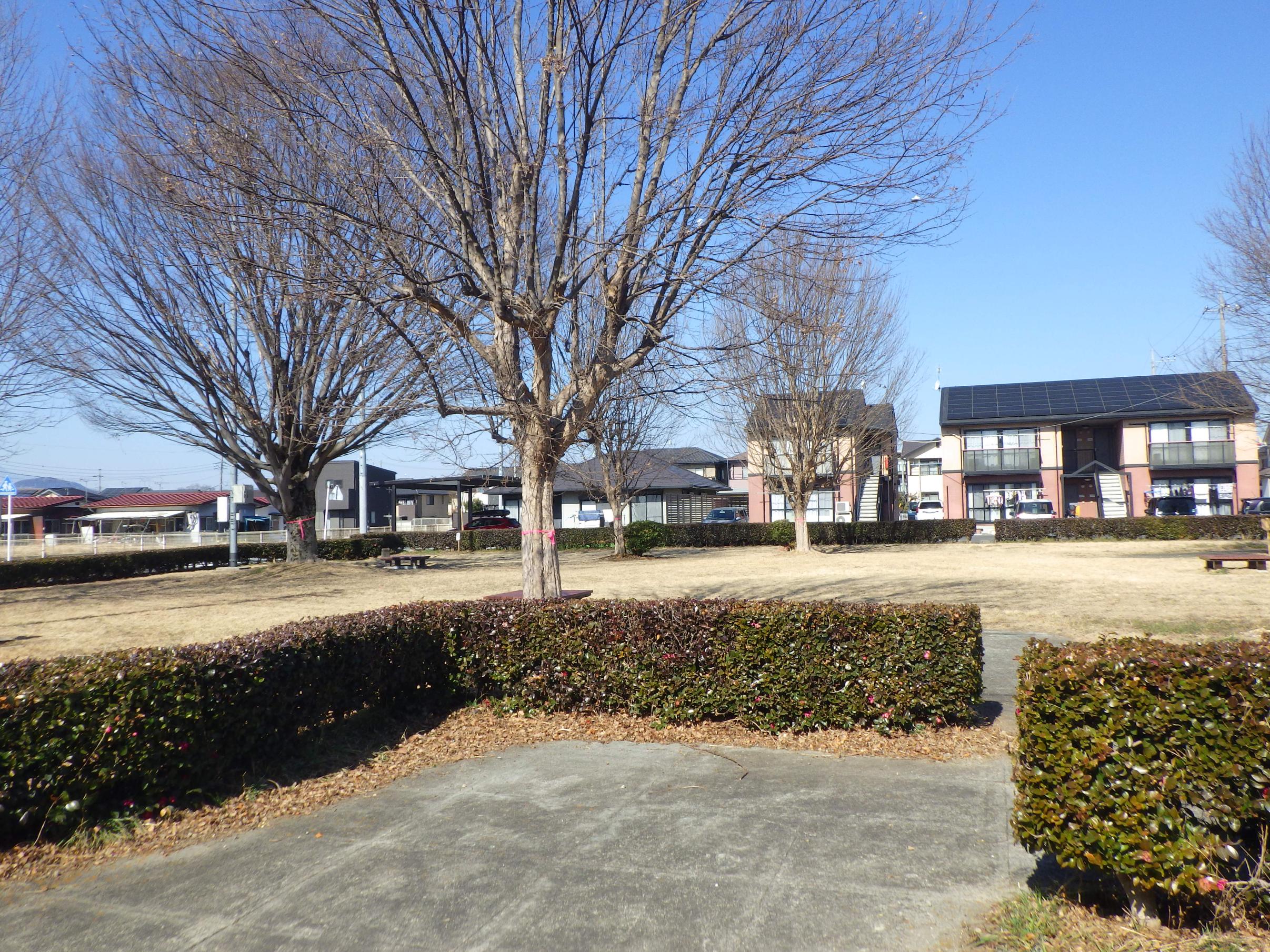 駅西3号公園の写真 駅西3号公園の写真