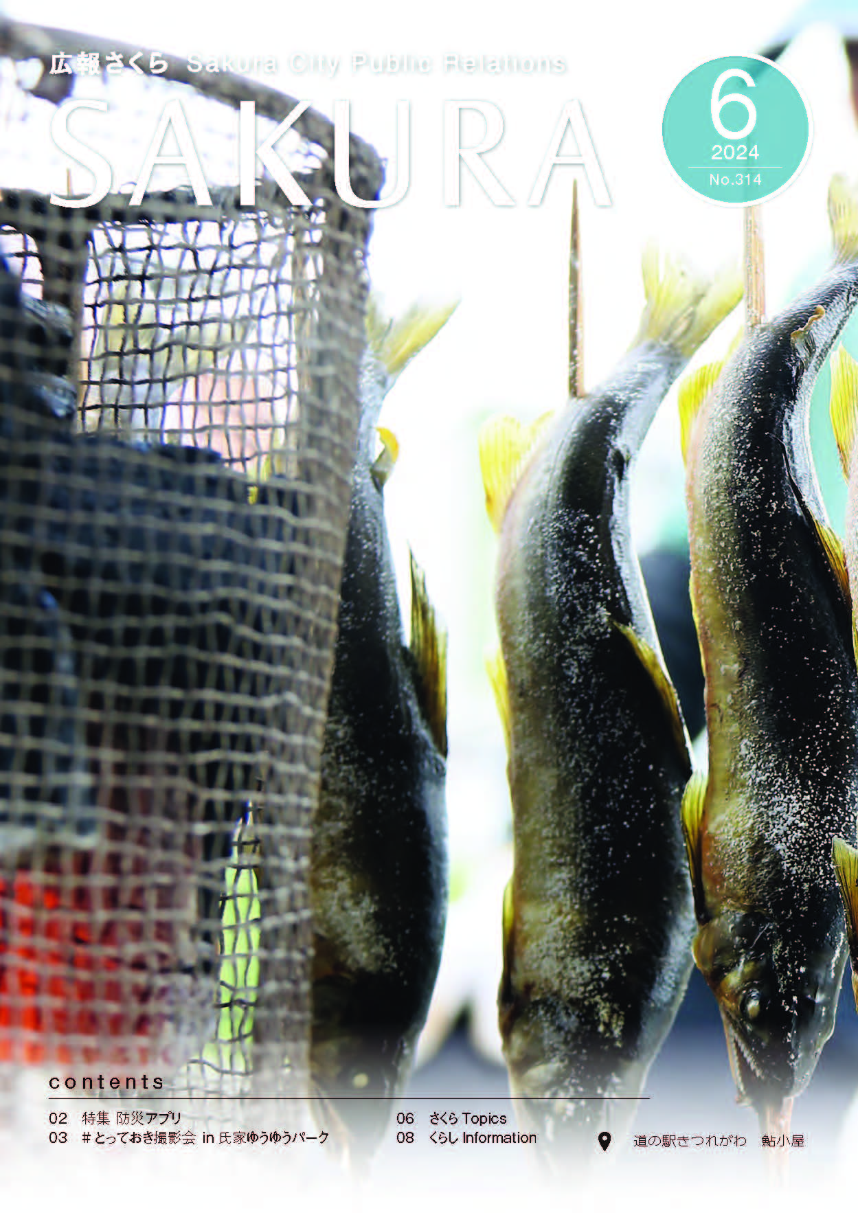 広報さくら令和6年6月1日号表紙