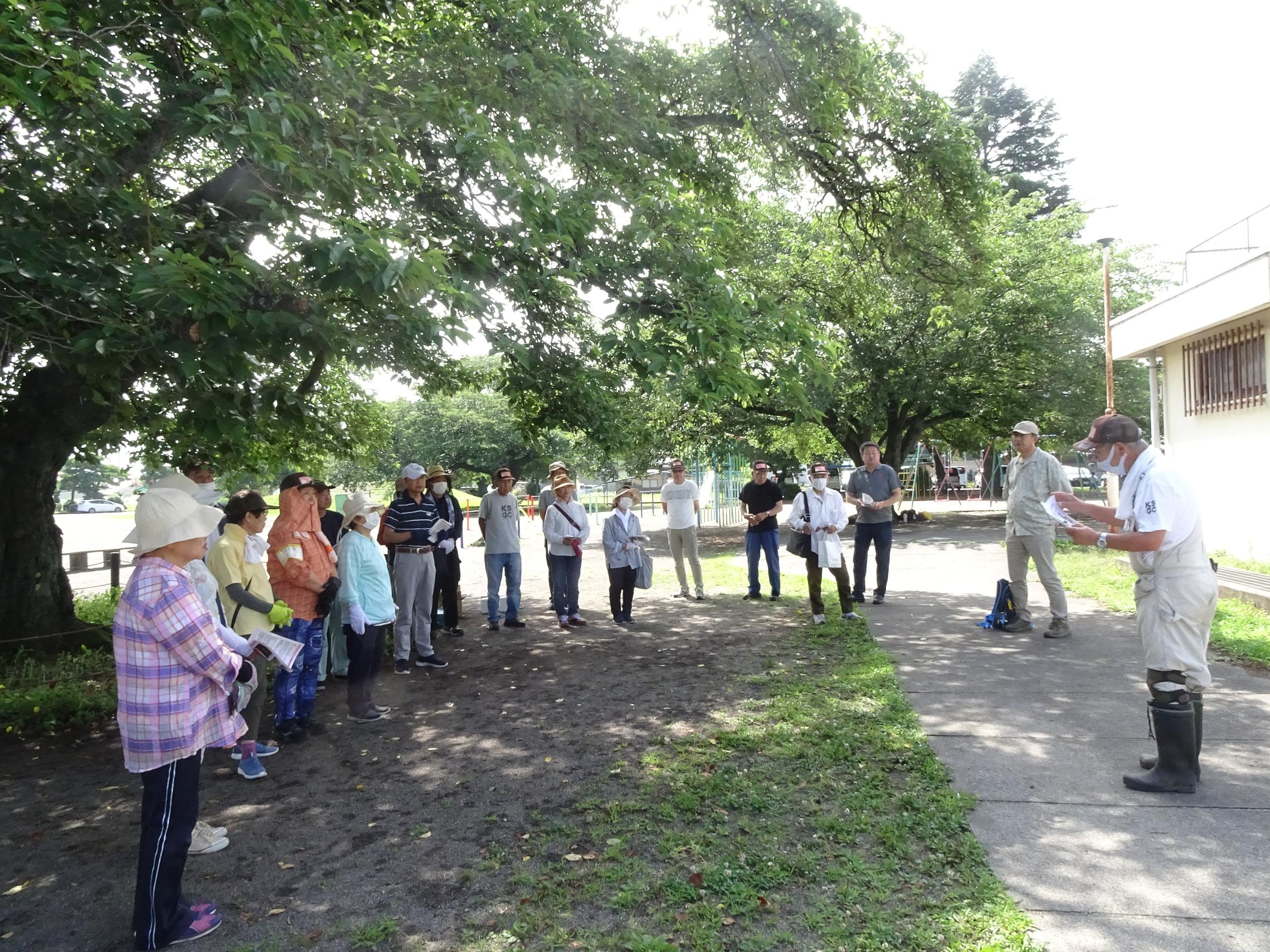 クビアカツヤカミキリ駆除用薬剤樹幹注入の画像1 クビアカツヤカミキリ駆除用薬剤樹幹注入の画像1