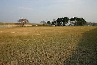 鬼怒川運動公園の写真 鬼怒川運動公園の写真