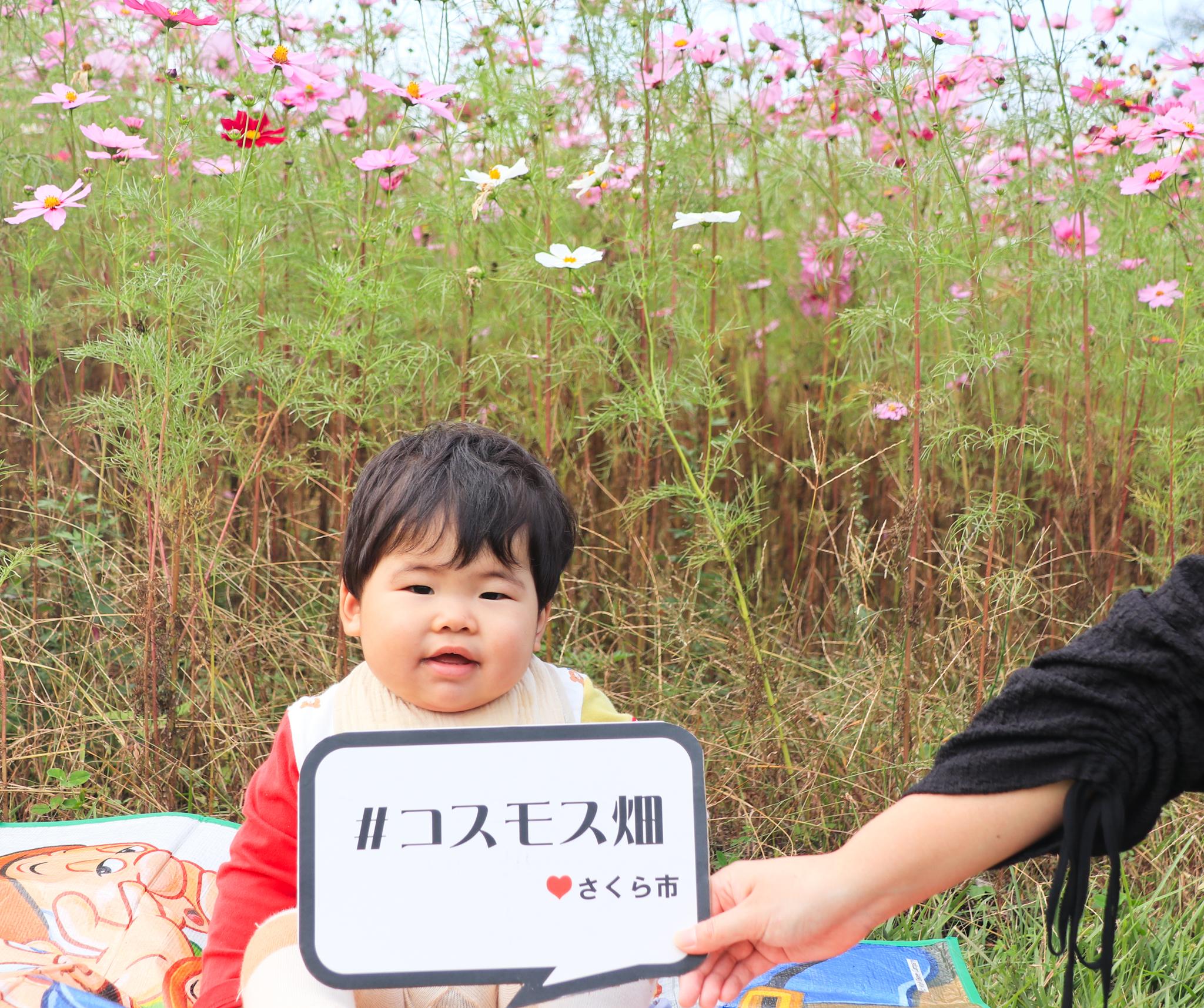 子どもの写真（10）