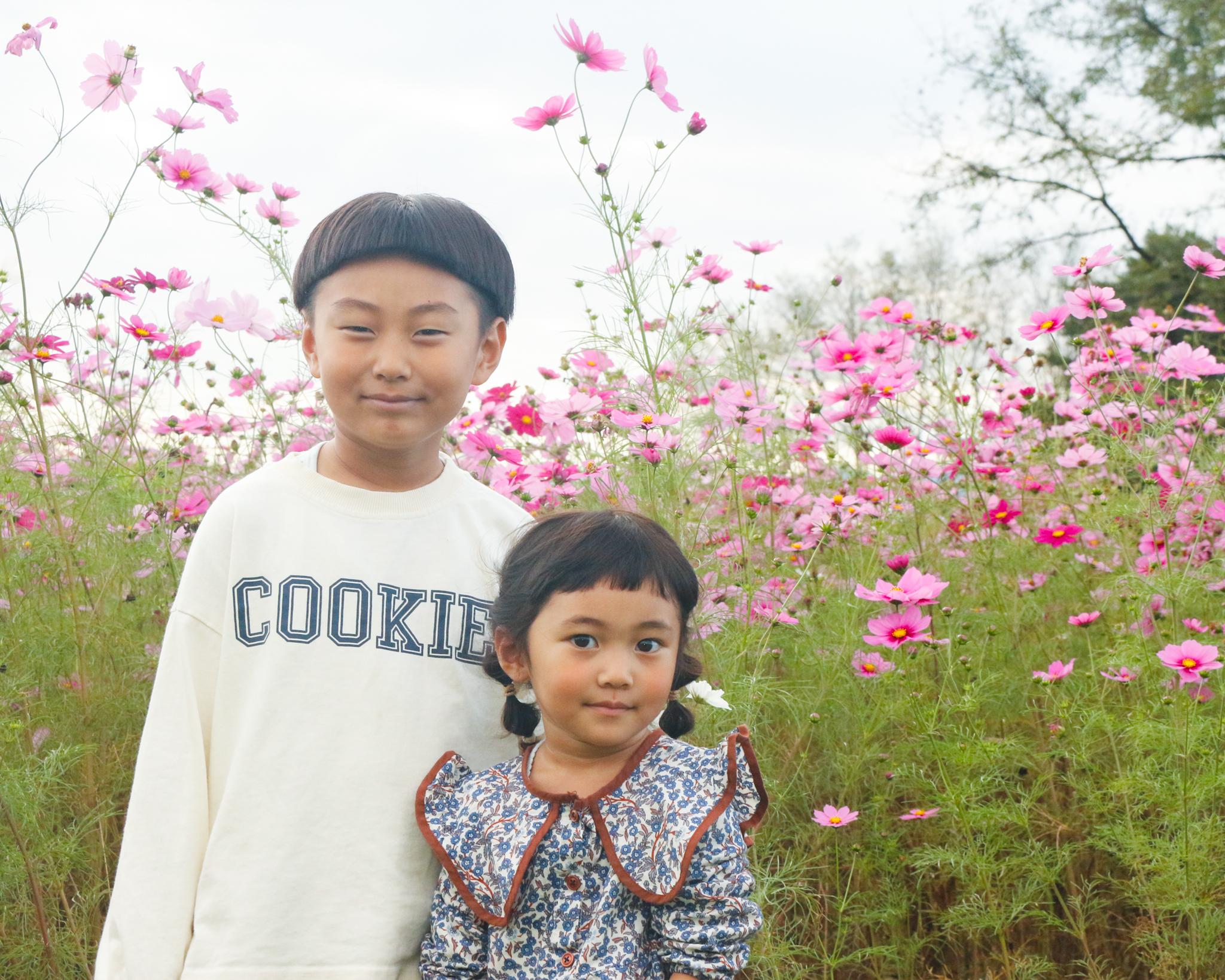 きょうだいの写真（21）