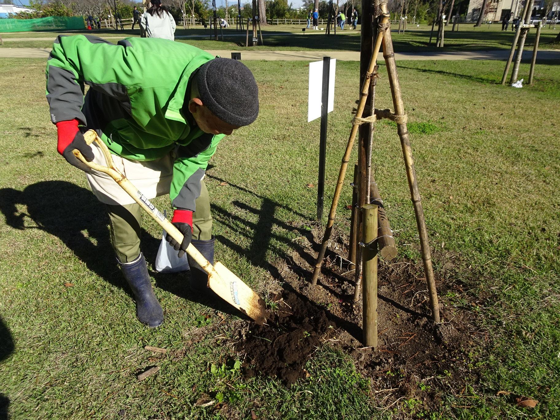 施肥活動の写真2
