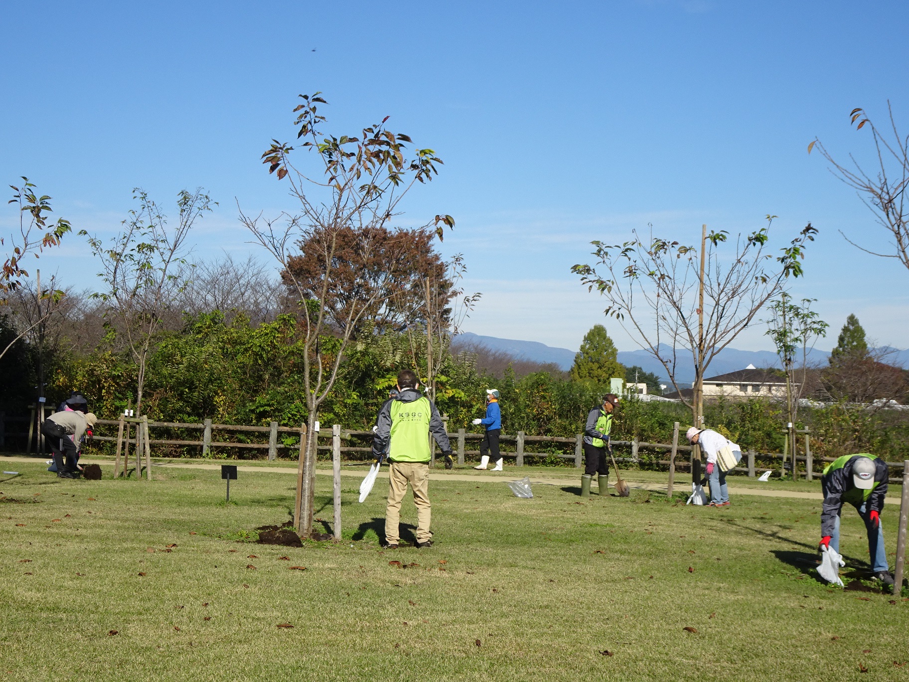 施肥活動の写真3