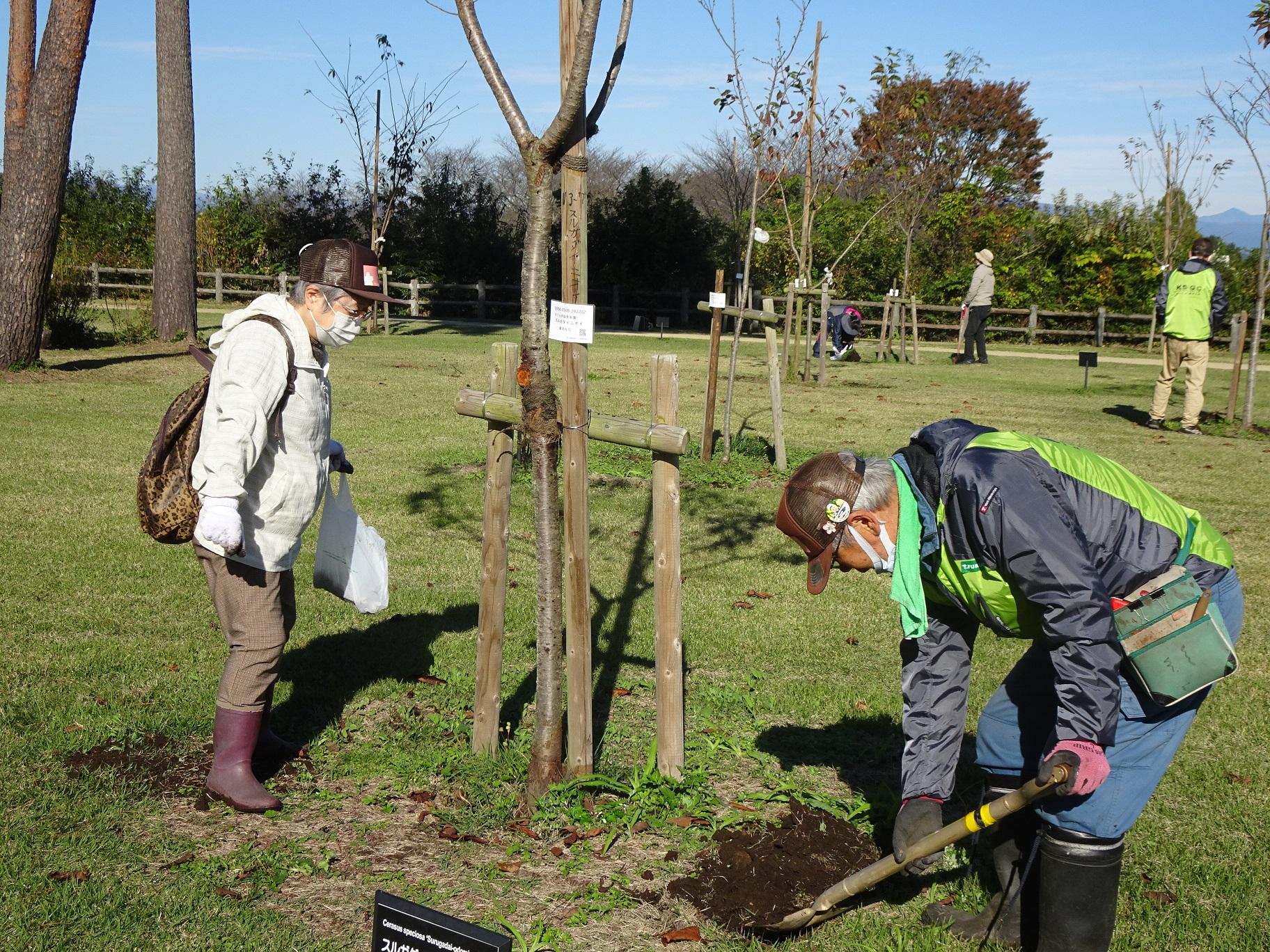 施肥活動の写真4