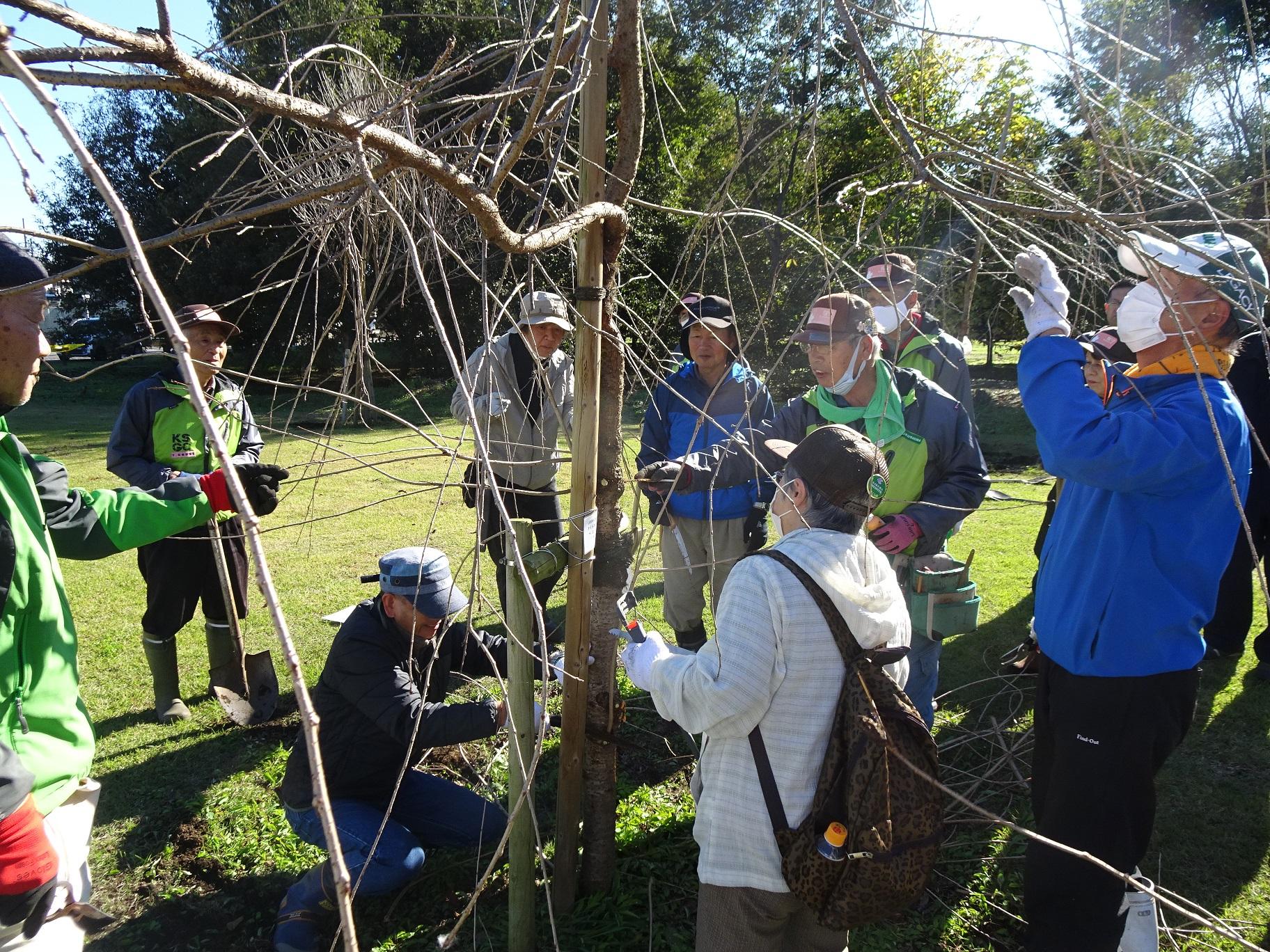 施肥活動の写真