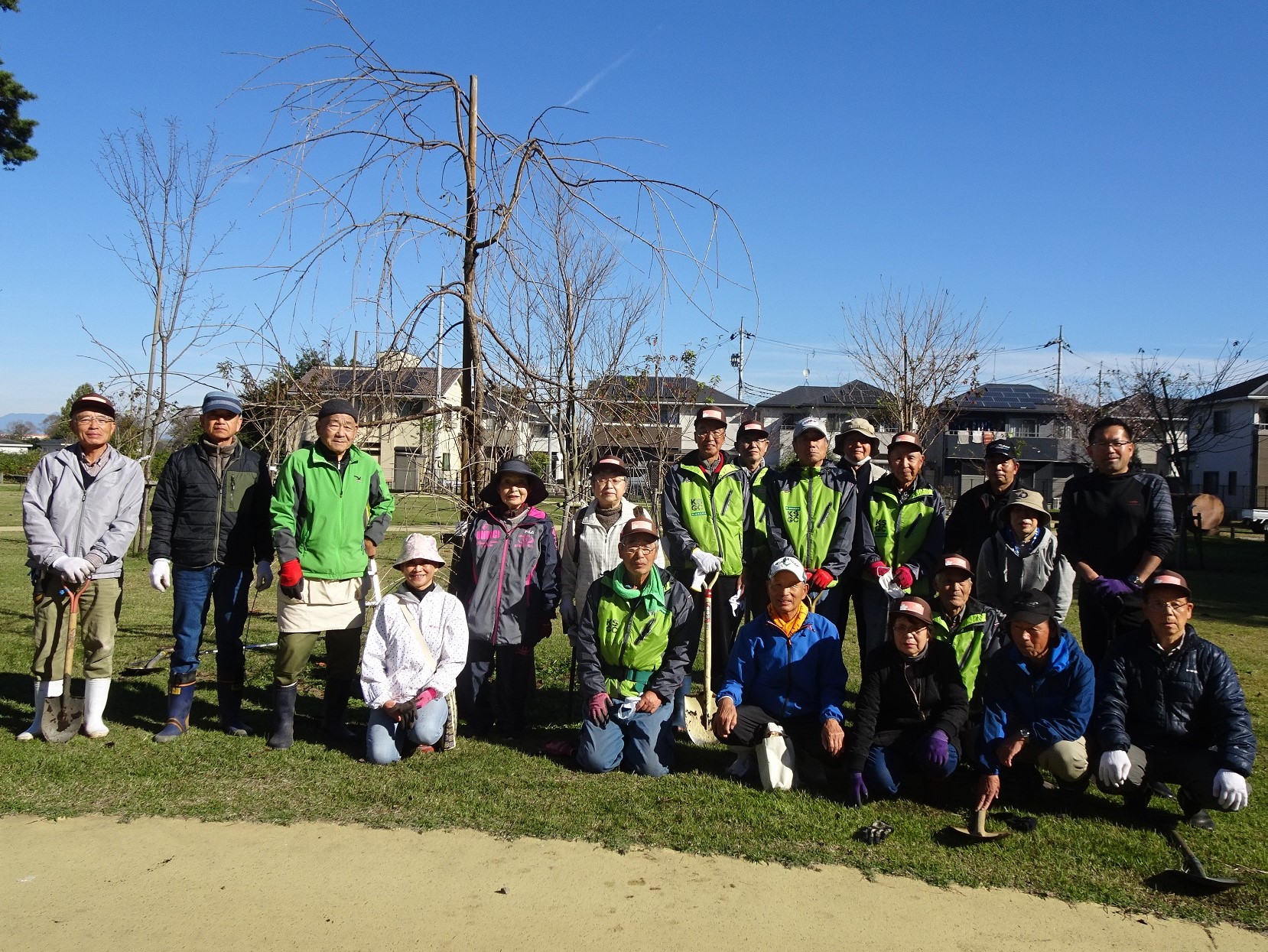 施肥活動の写真6