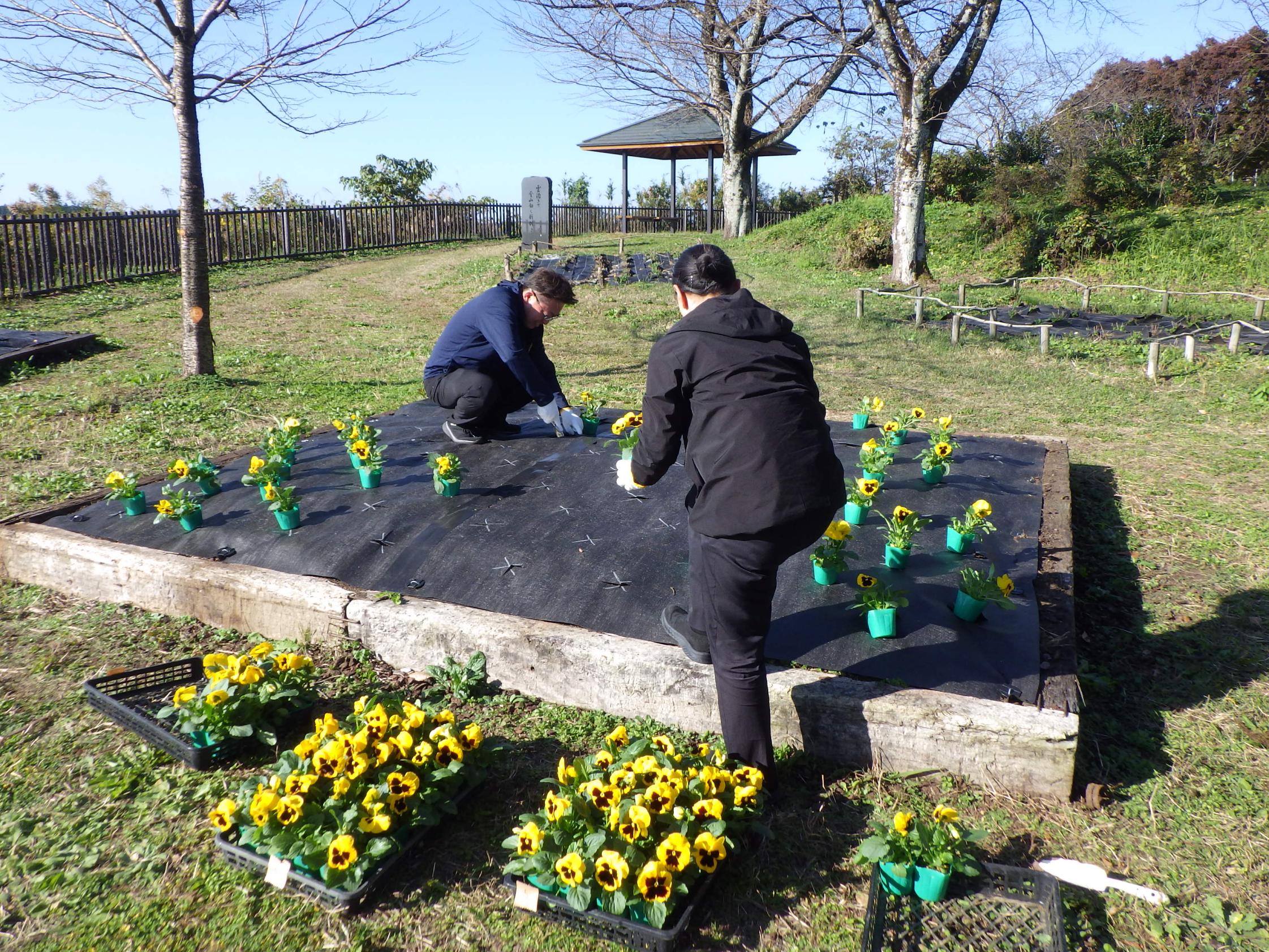 実施写真1 実施写真1