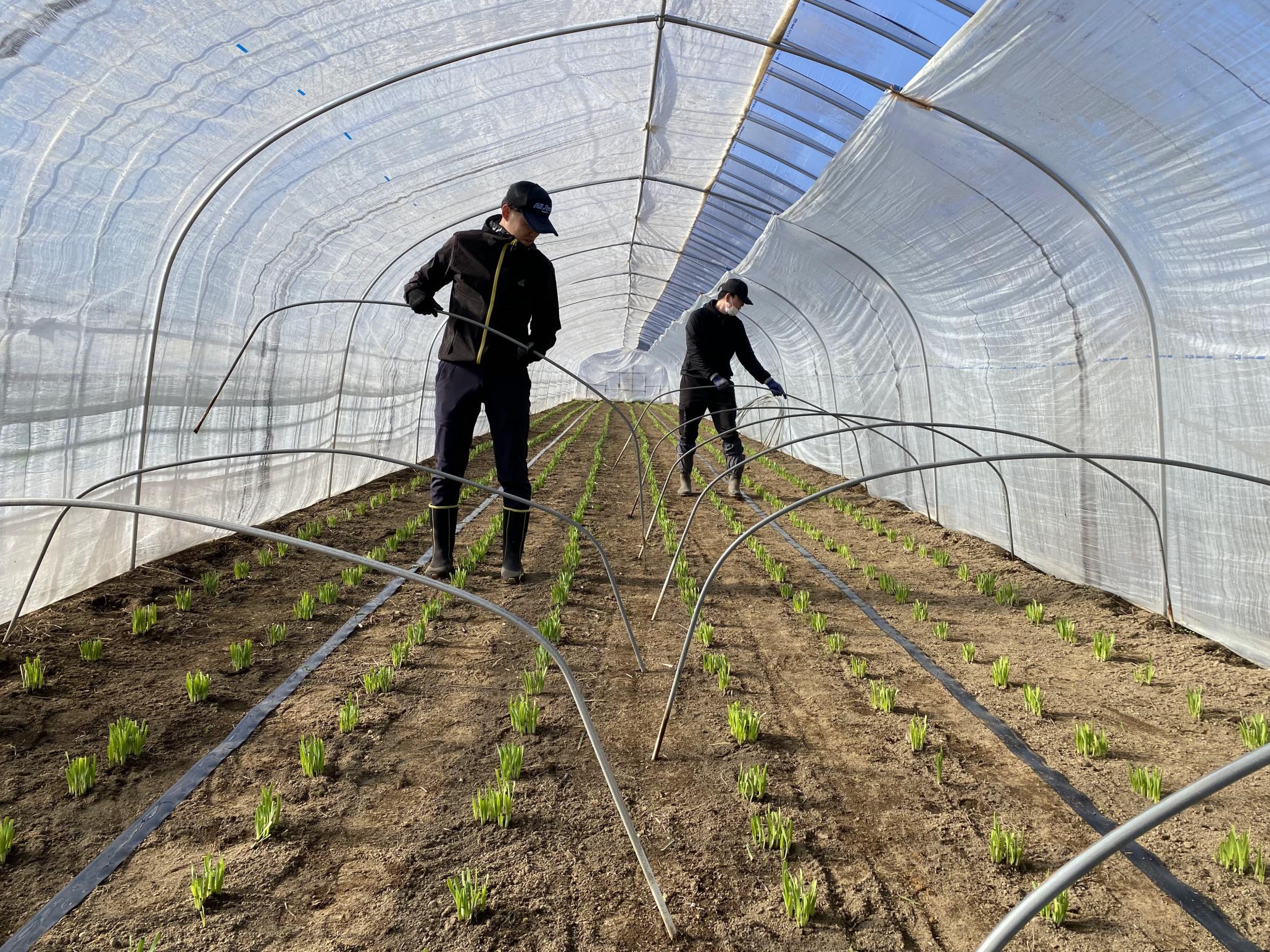 IMG_7068-cleaned(1) IMG_7068-cleaned(1)