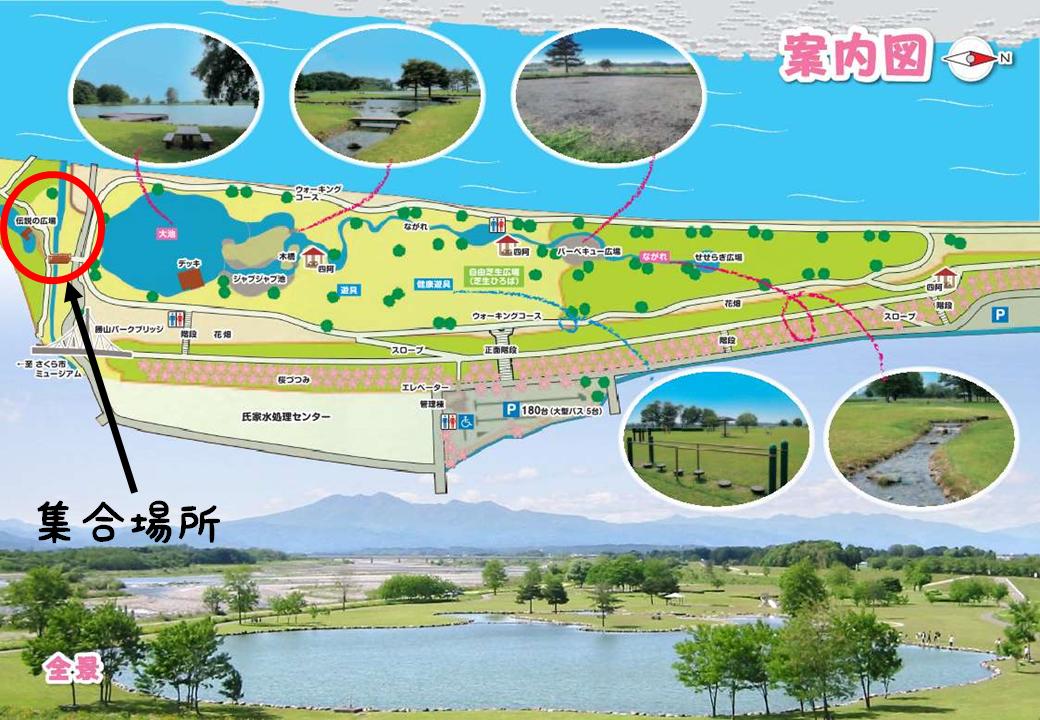 プレゼンテーション1 プレゼンテーション1