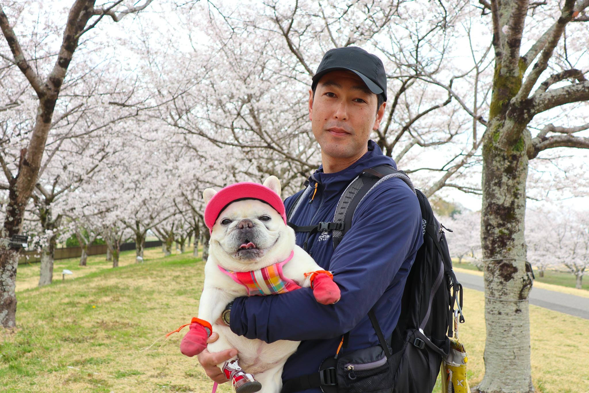 男性と犬の写真