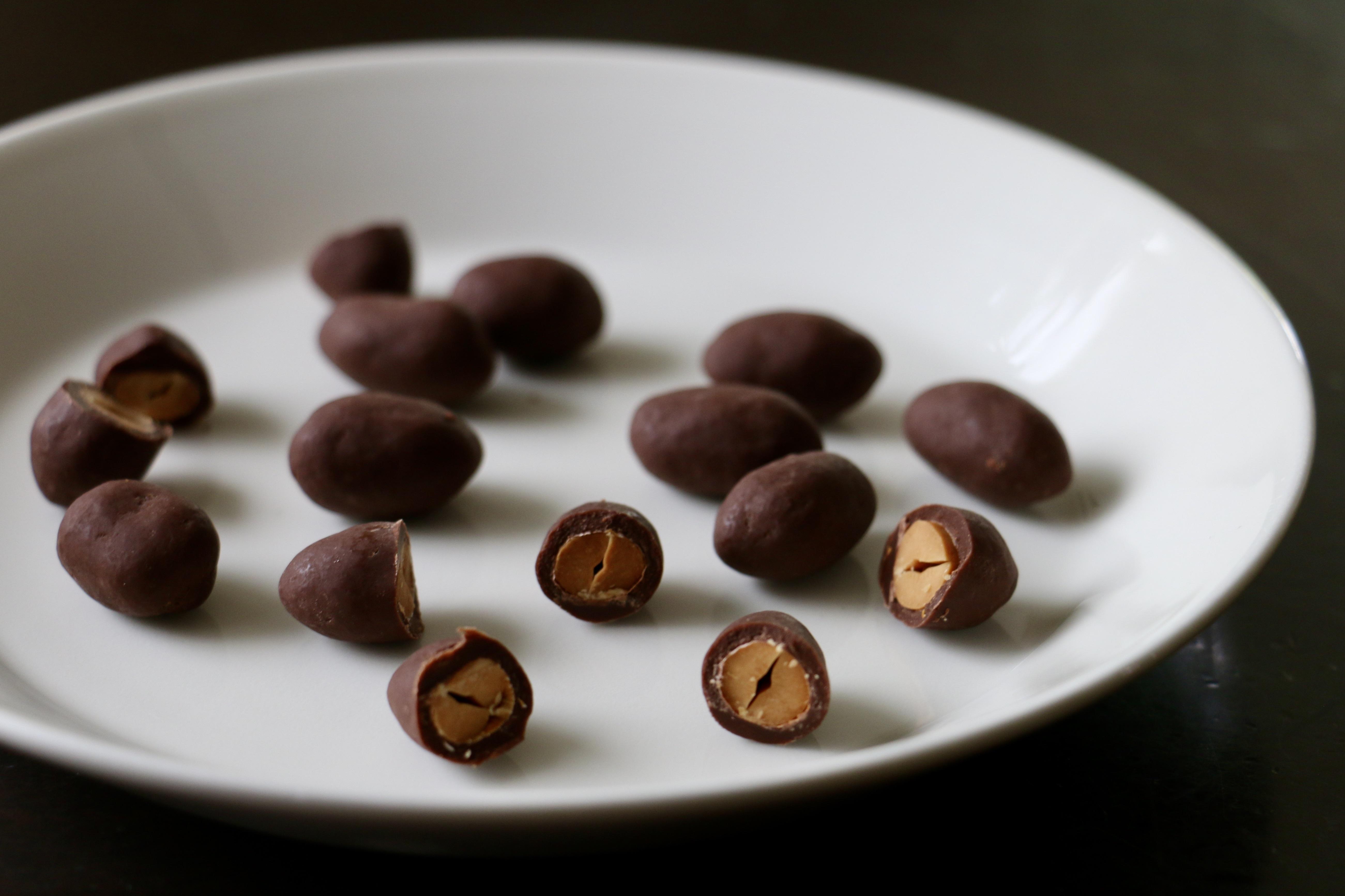 17_榊さん家のピーちょこ