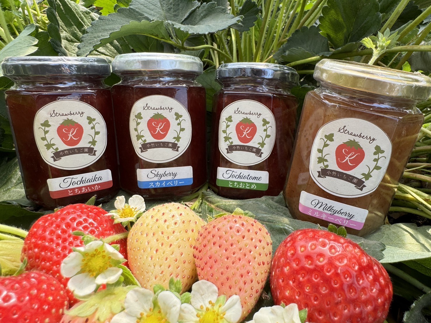26_4品種いちごドジャム