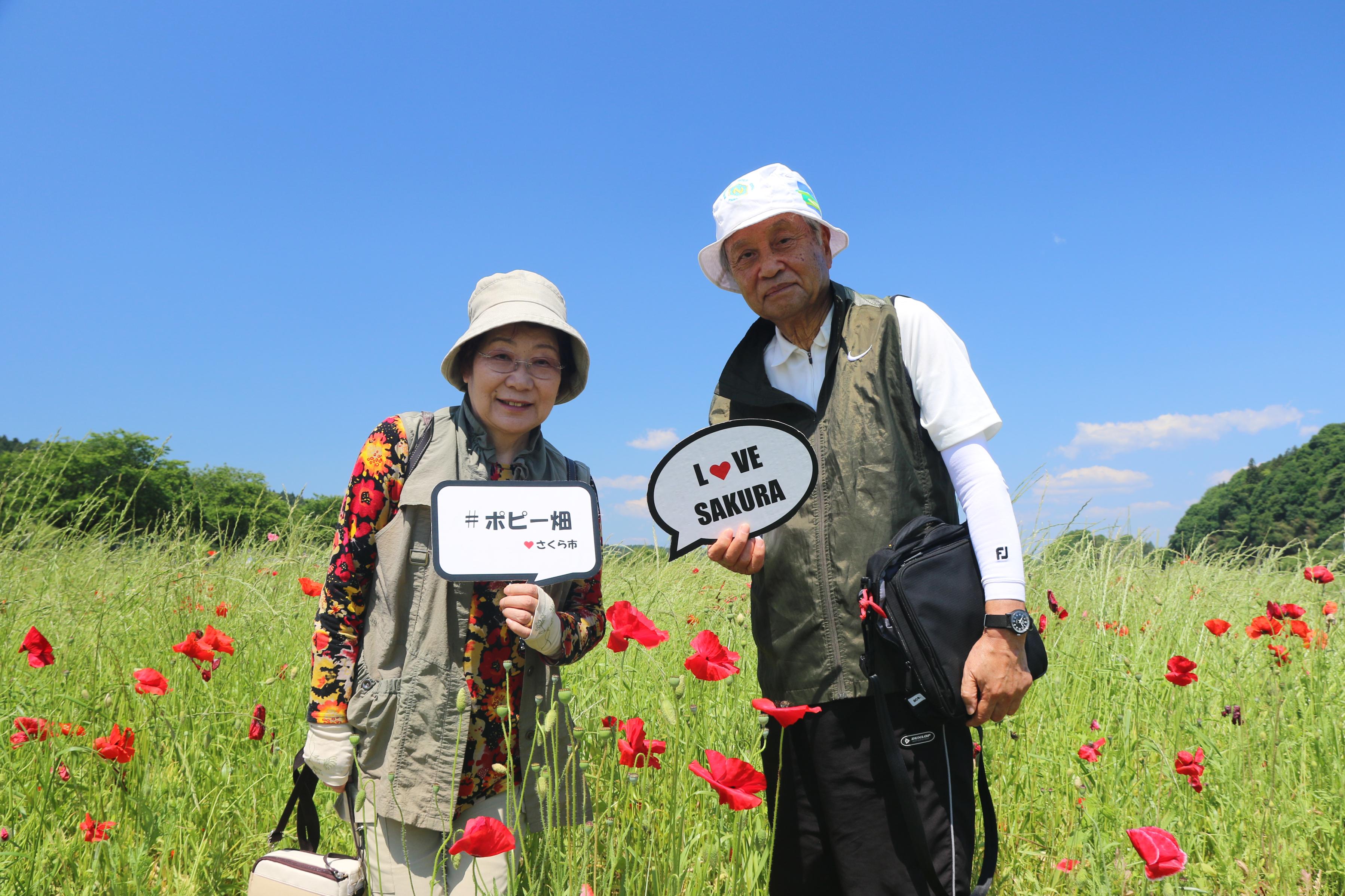 ポピー畑にいる夫婦の写真
