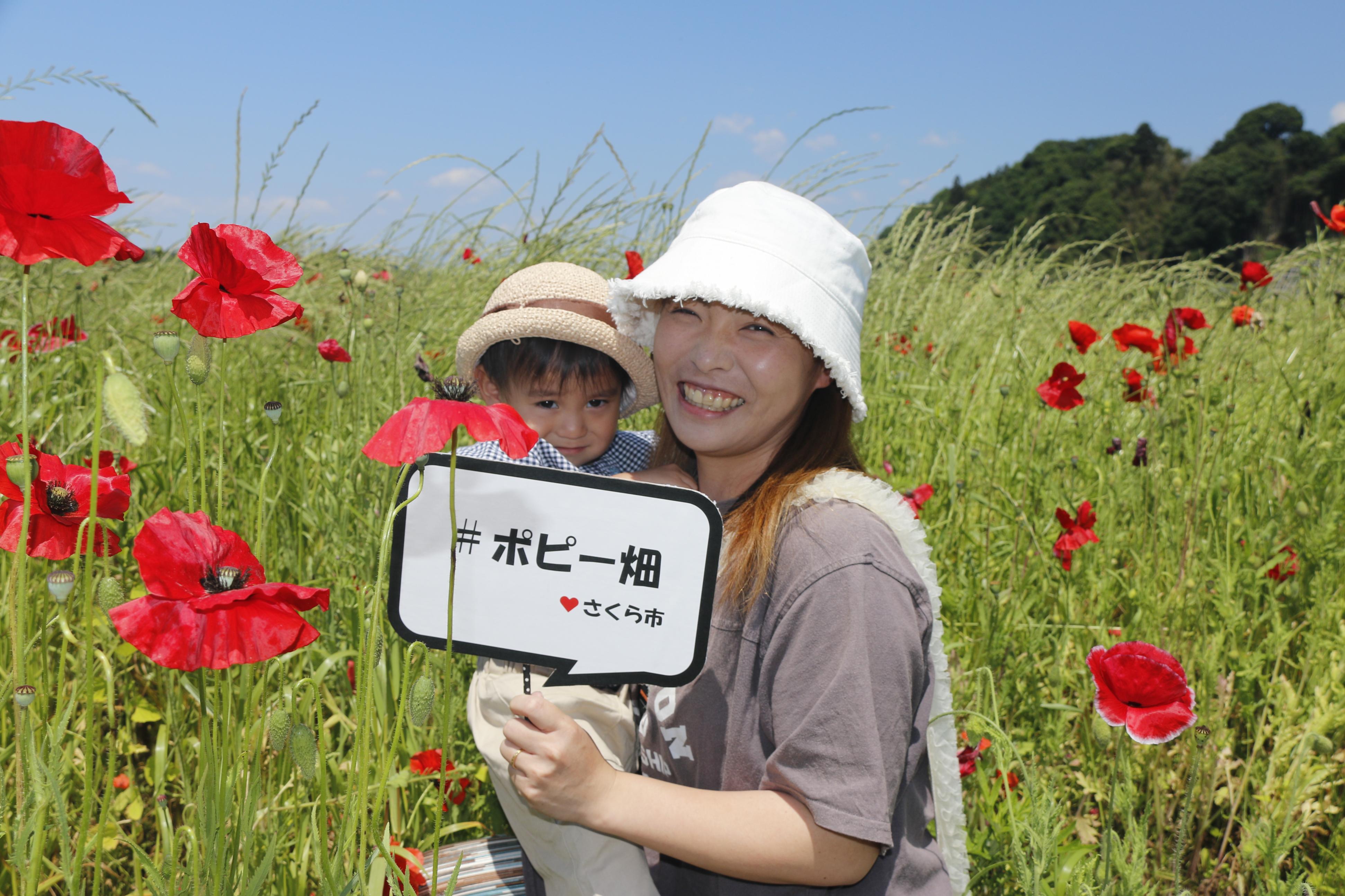 ポピー畑にいる女性と子どもの写真