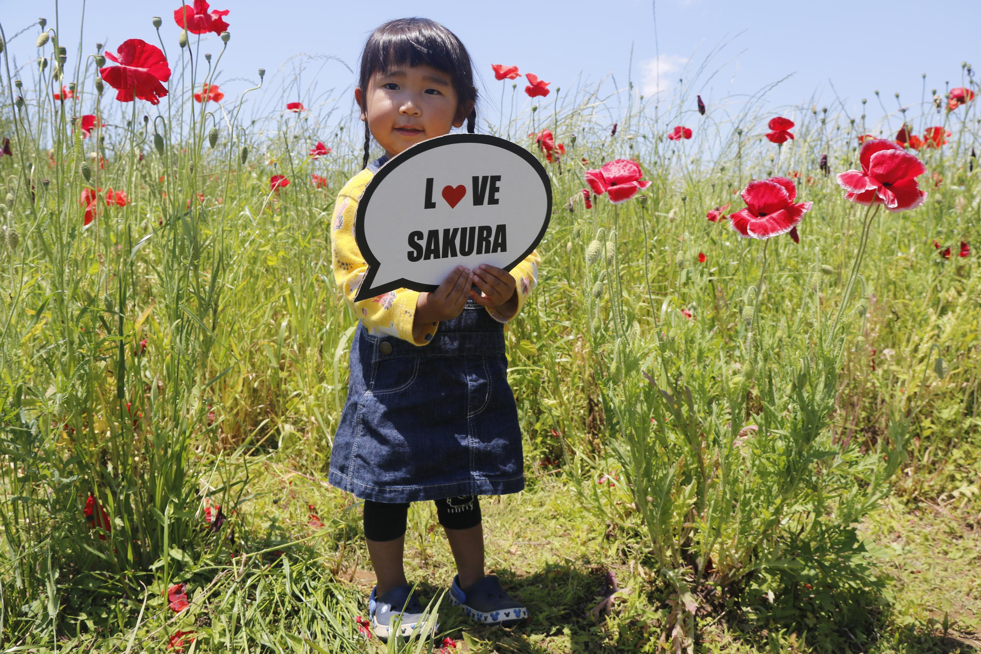 ポピー畑にいる子どもの写真