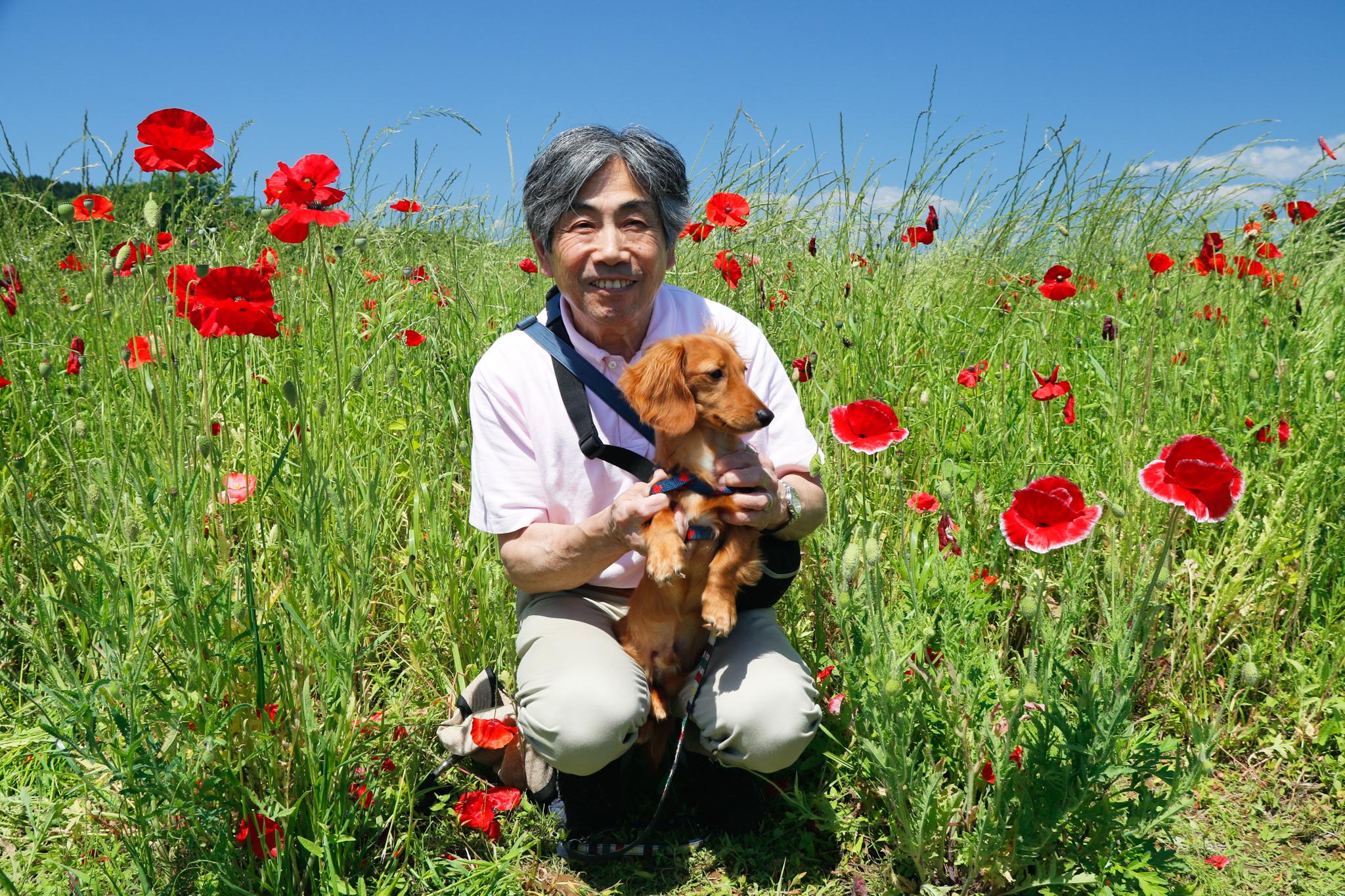 ポピー畑にいる男性と犬の写真