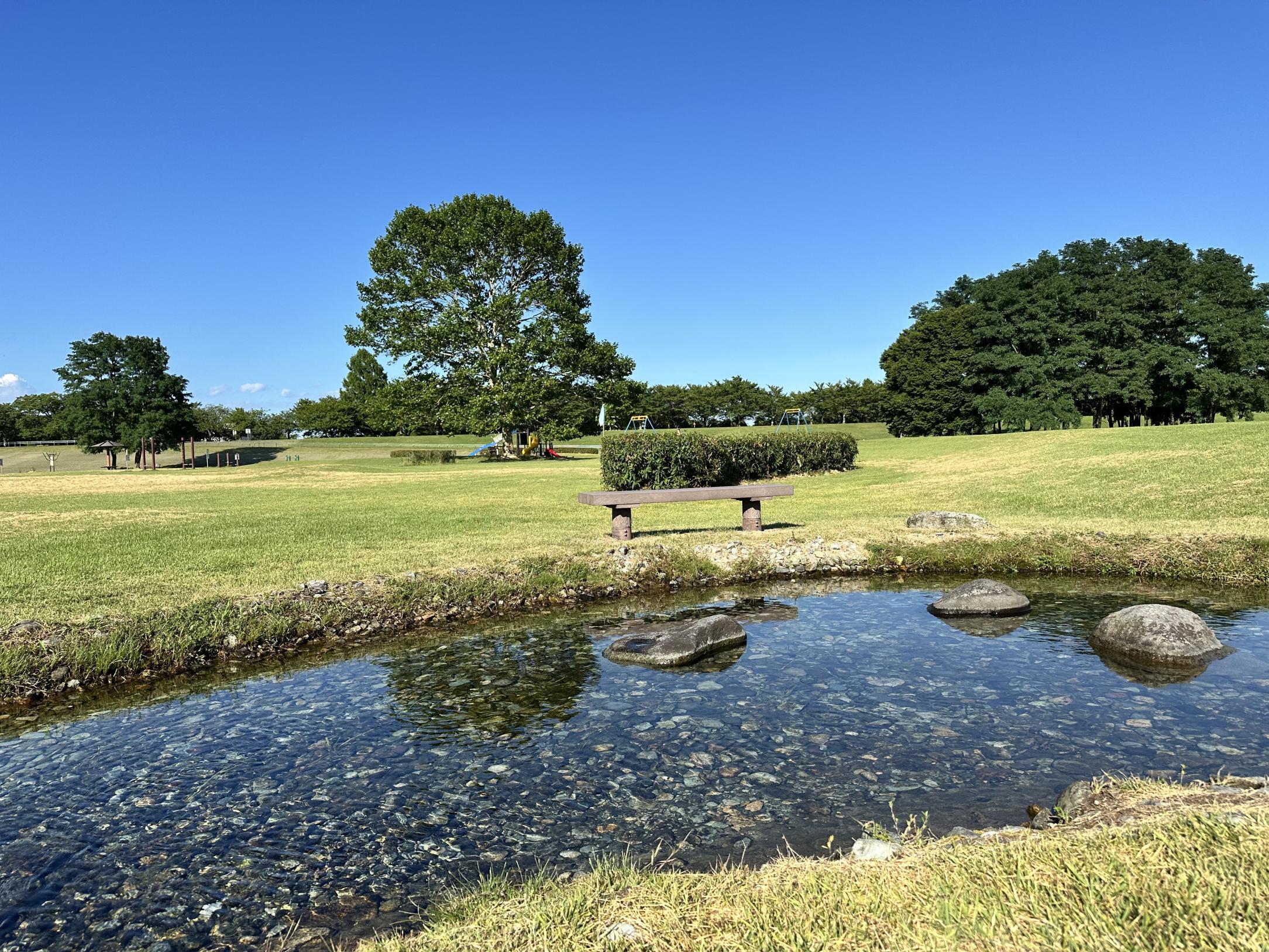 清掃後の小川の様子 清掃後の小川の様子