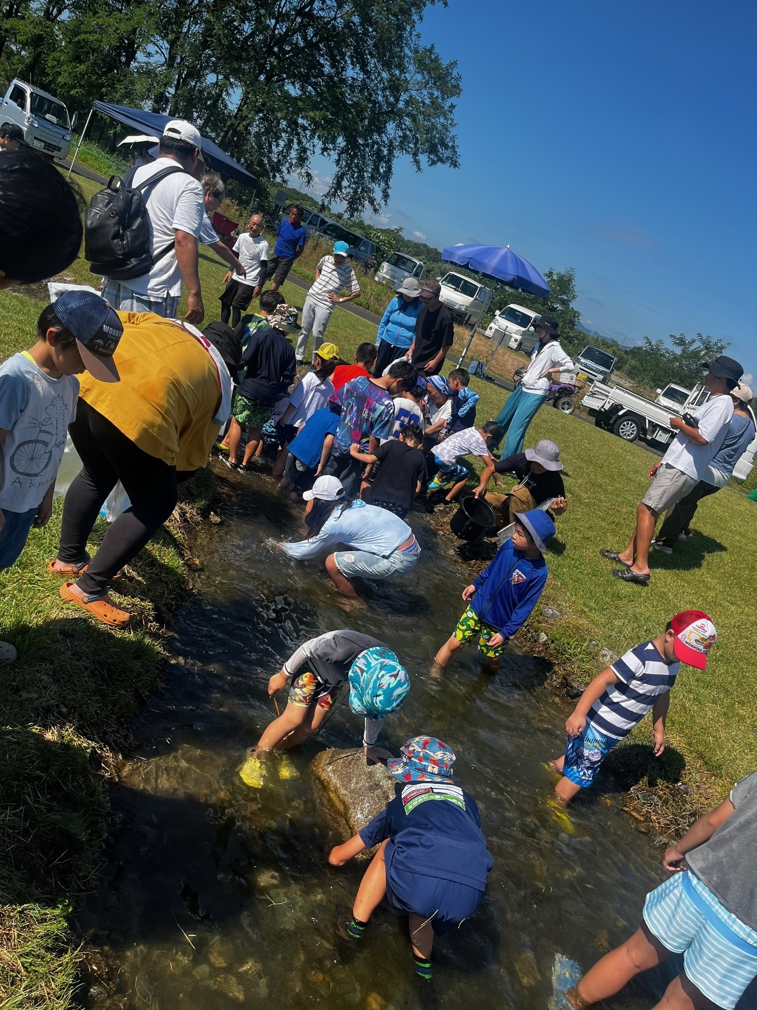 【無害化実施】image4(1) 【無害化実施】image4(1)