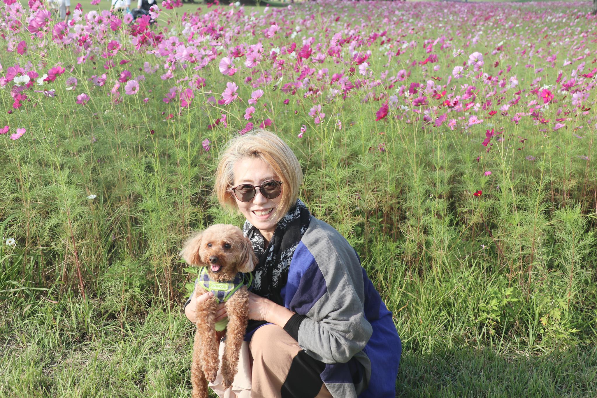 コスモス撮影会(1)_女性とワンちゃん
