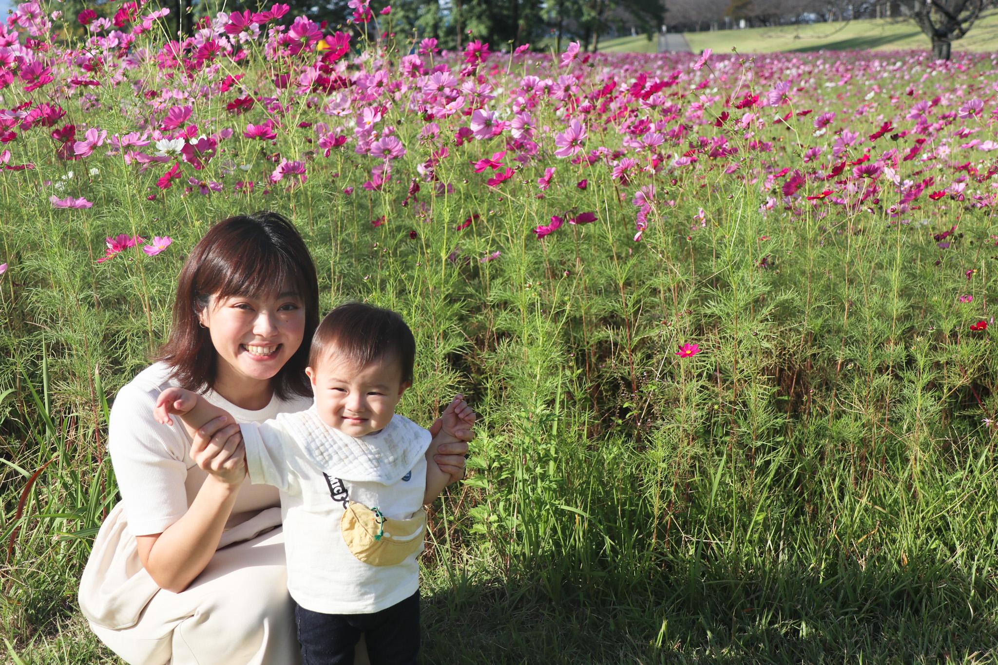 コスモス撮影会(4)_お母さんとお子さん