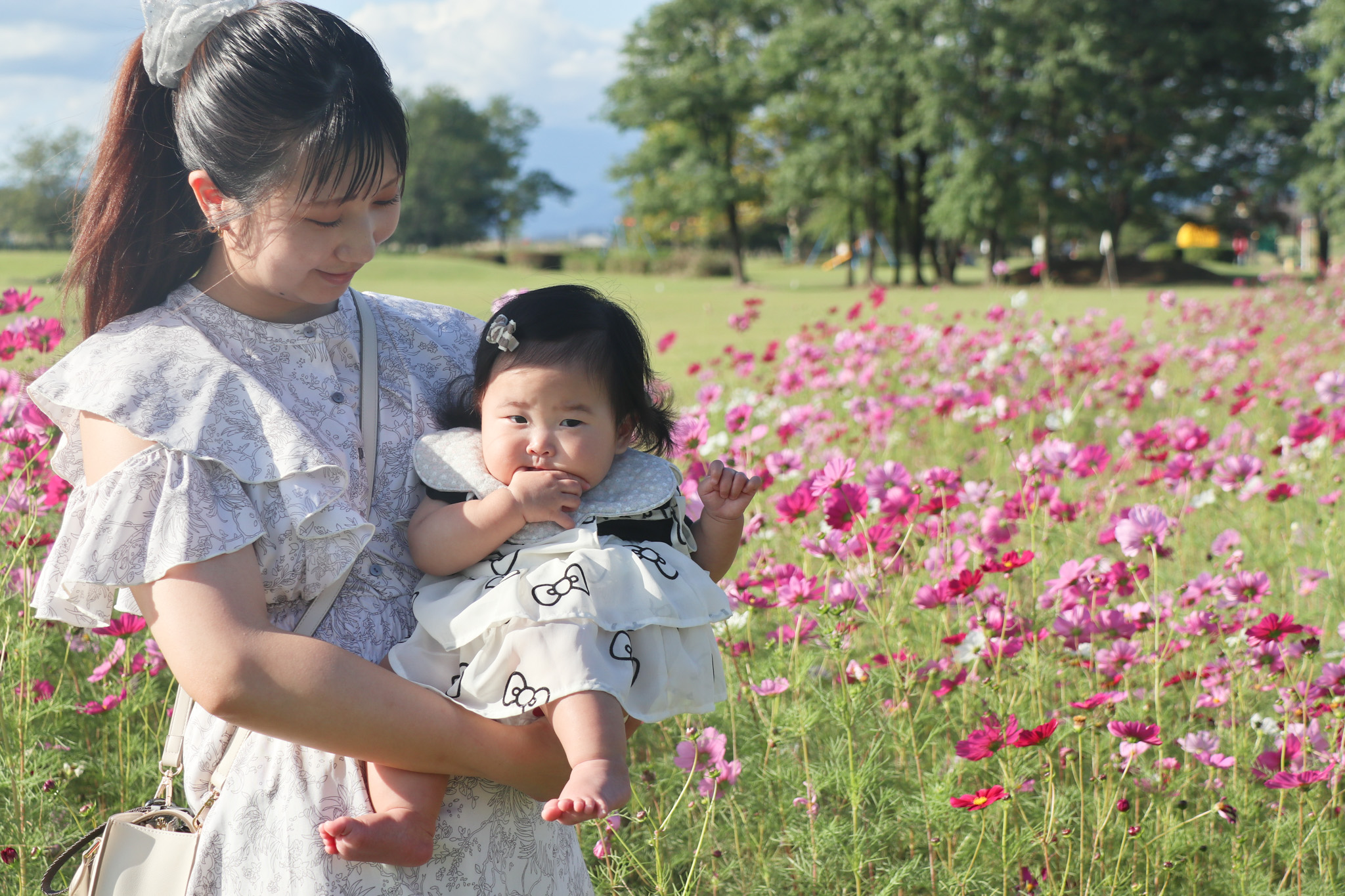 コスモス撮影会(5)_お母さんとお子さん