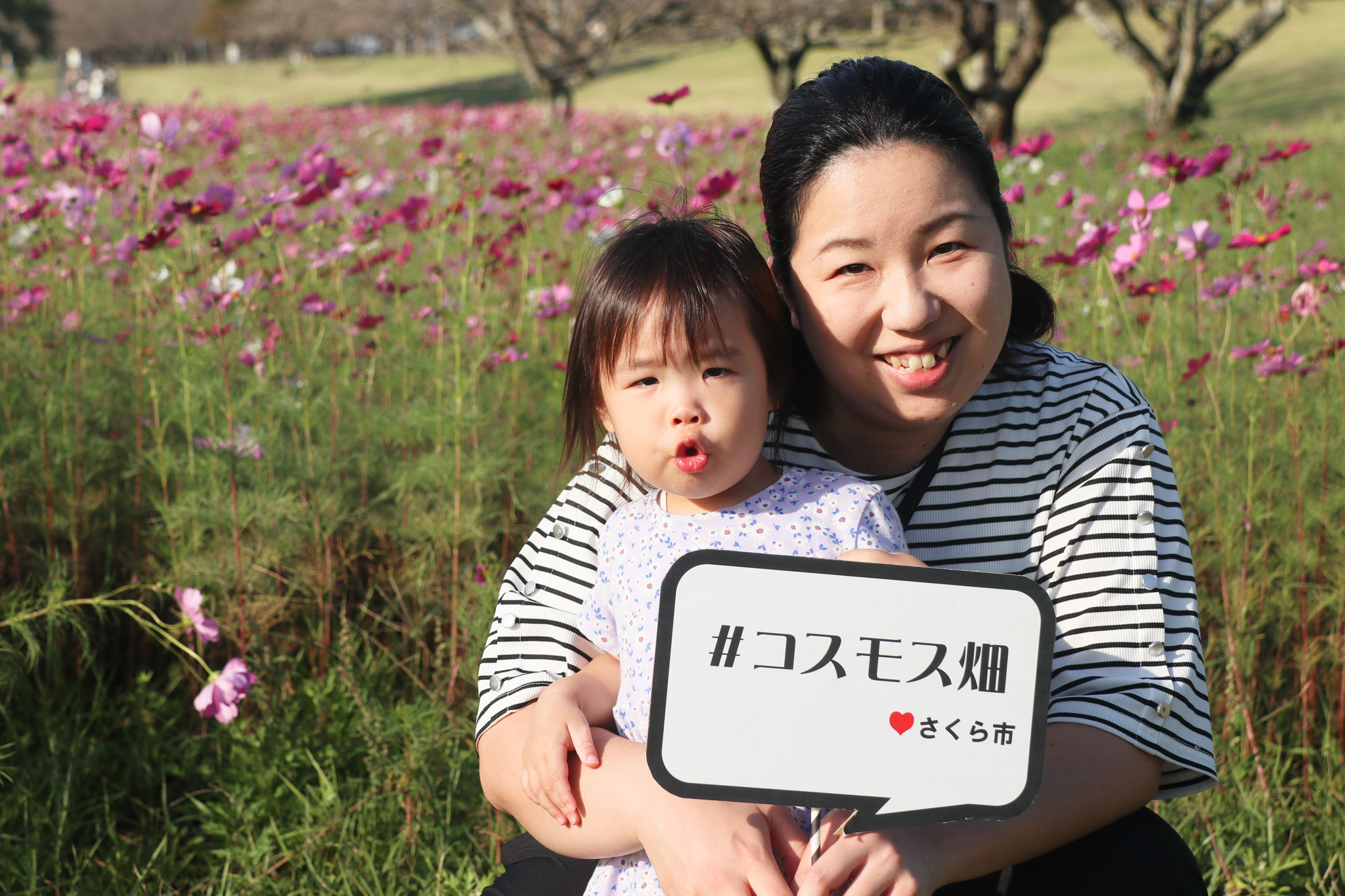 コスモス撮影会(6)_お母さんと犬