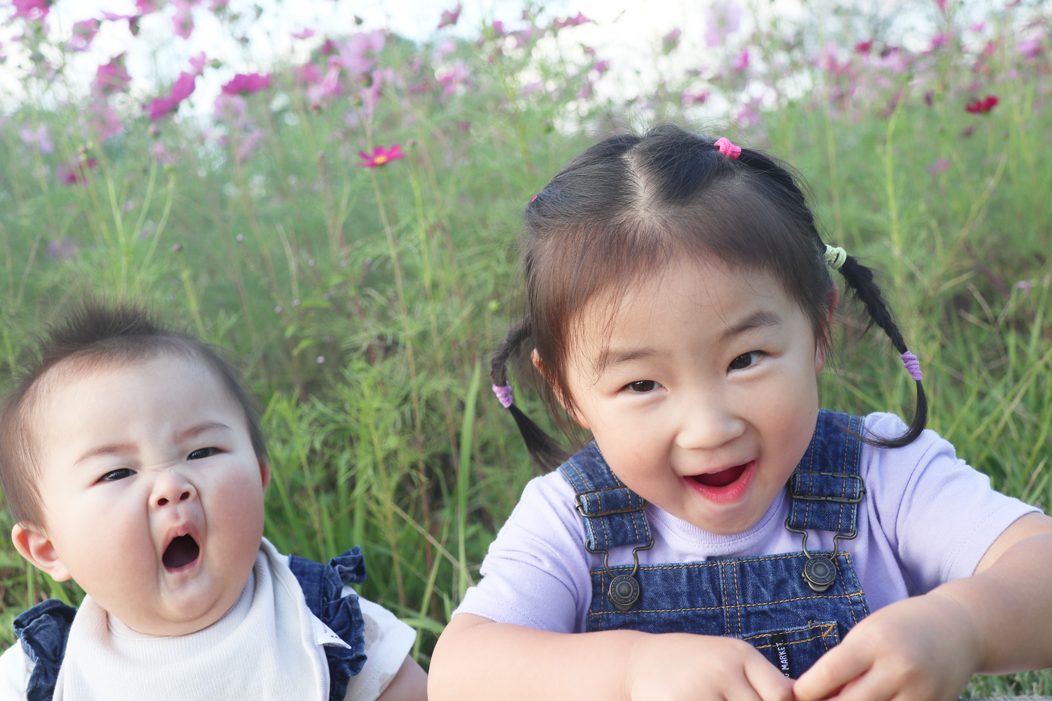 コスモス撮影会(8)_元気なお子さんと赤ちゃん