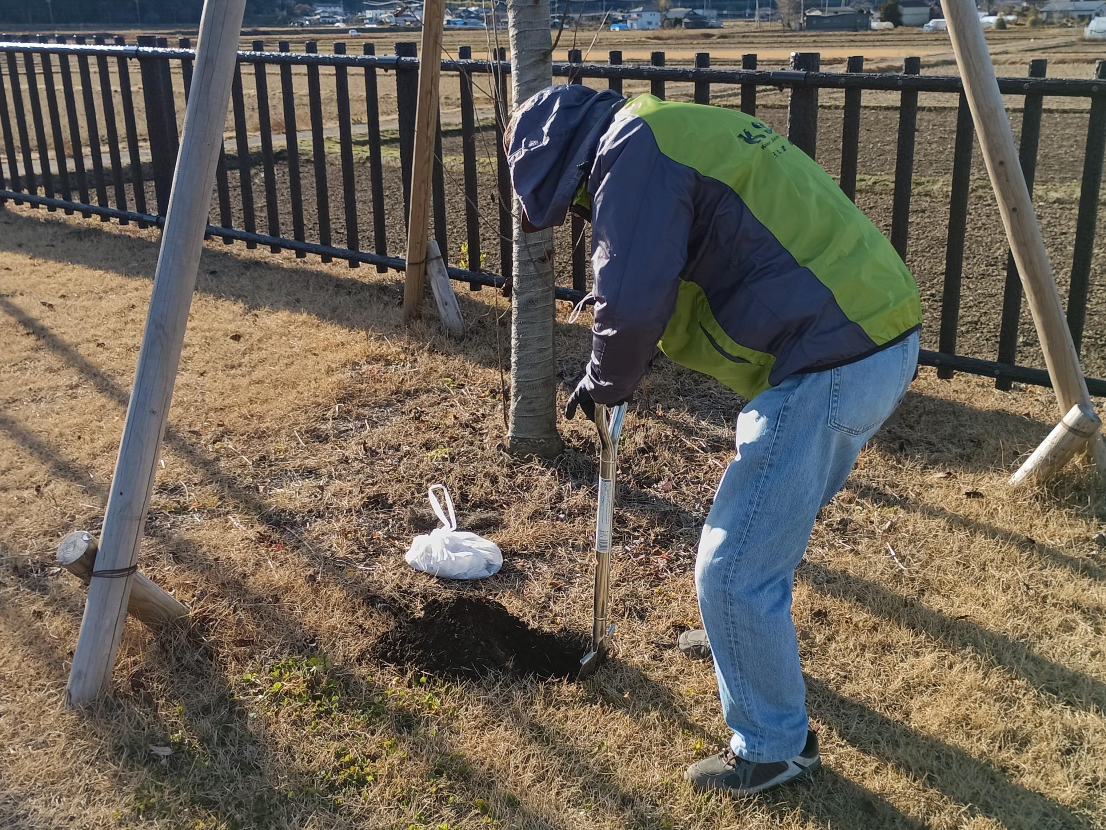 施肥作業の様子2 施肥作業の様子2