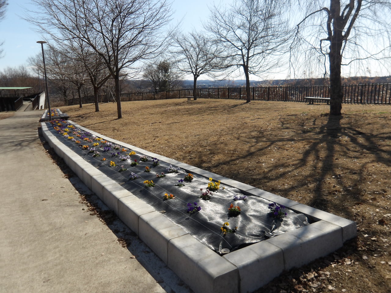 お丸山公園園路 お丸山公園園路