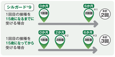 ワクチン接種タイミングの図