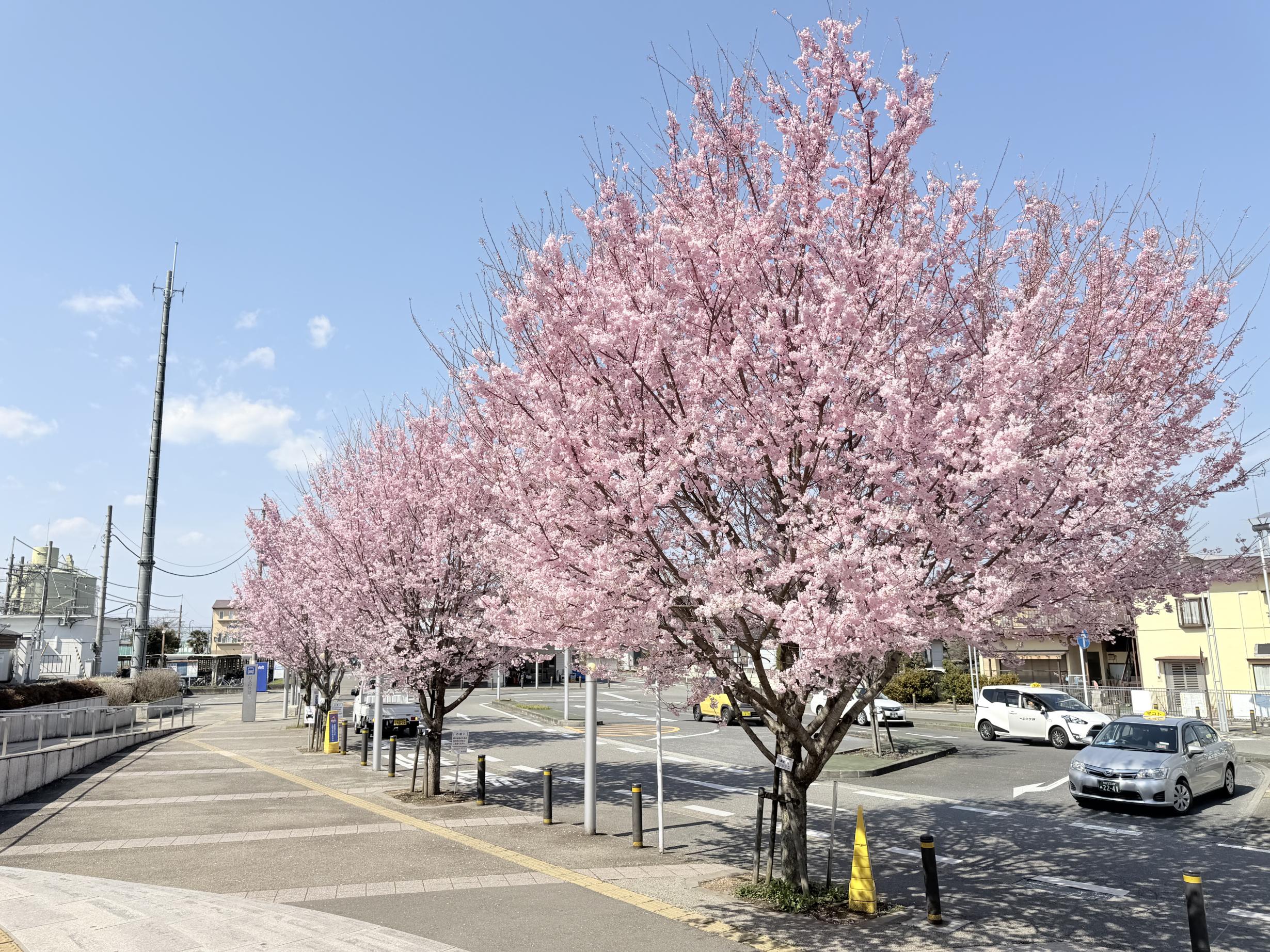 4月3日氏家駅ロータリー 4月3日氏家駅ロータリー