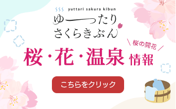 桜・温泉情報サイトオープン ゆったりさくらきぶん